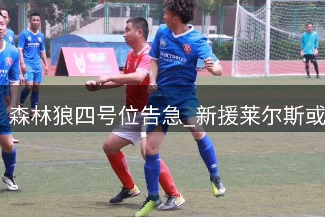 森林狼四号位告急 新援莱尔斯或临危受命出任首发