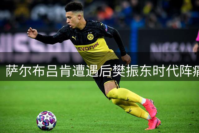 萨尔布吕肯遭遇"后樊振东时代"阵痛 俱乐部多线作战面临挑战
