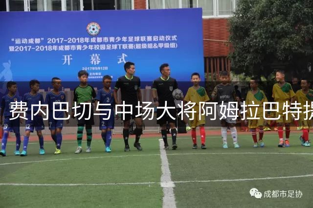 费内巴切与中场大将阿姆拉巴特提前终止合作